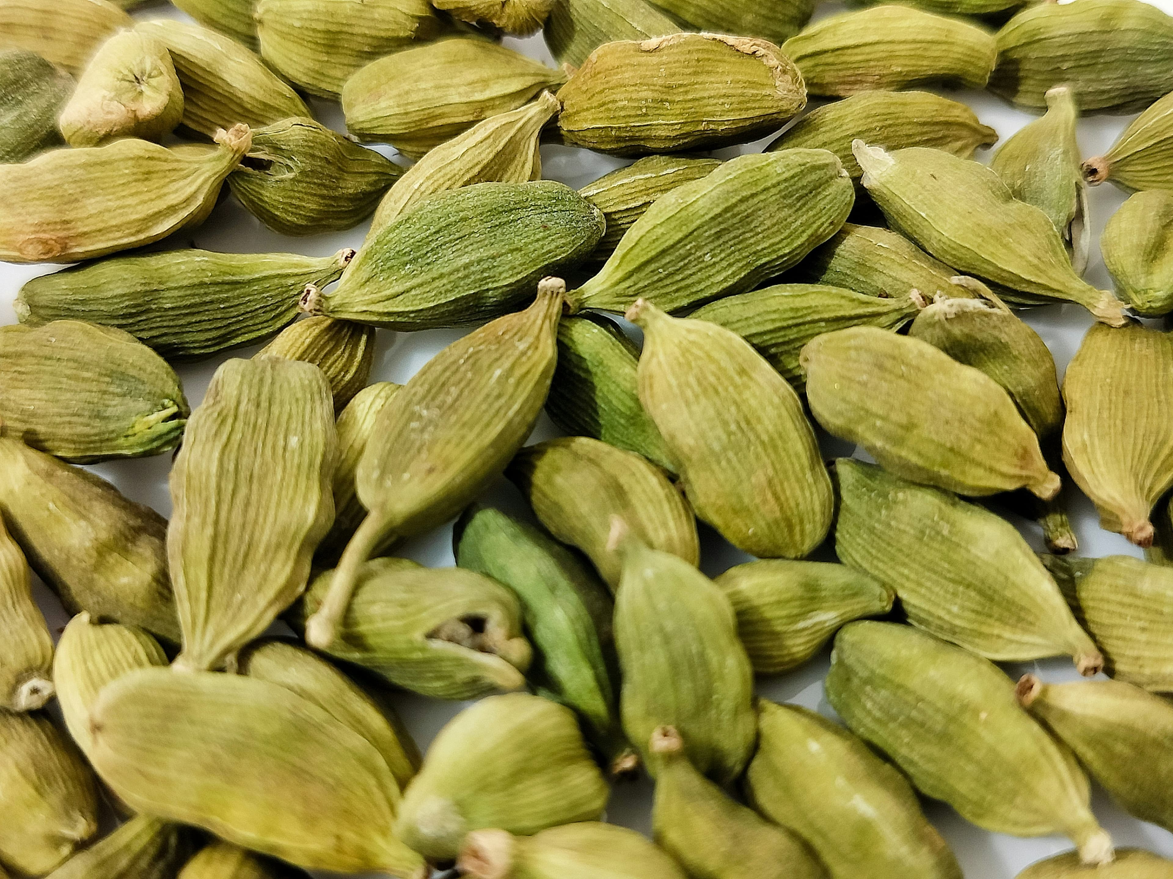 Premium Green Cardamom Exporter & Supplier