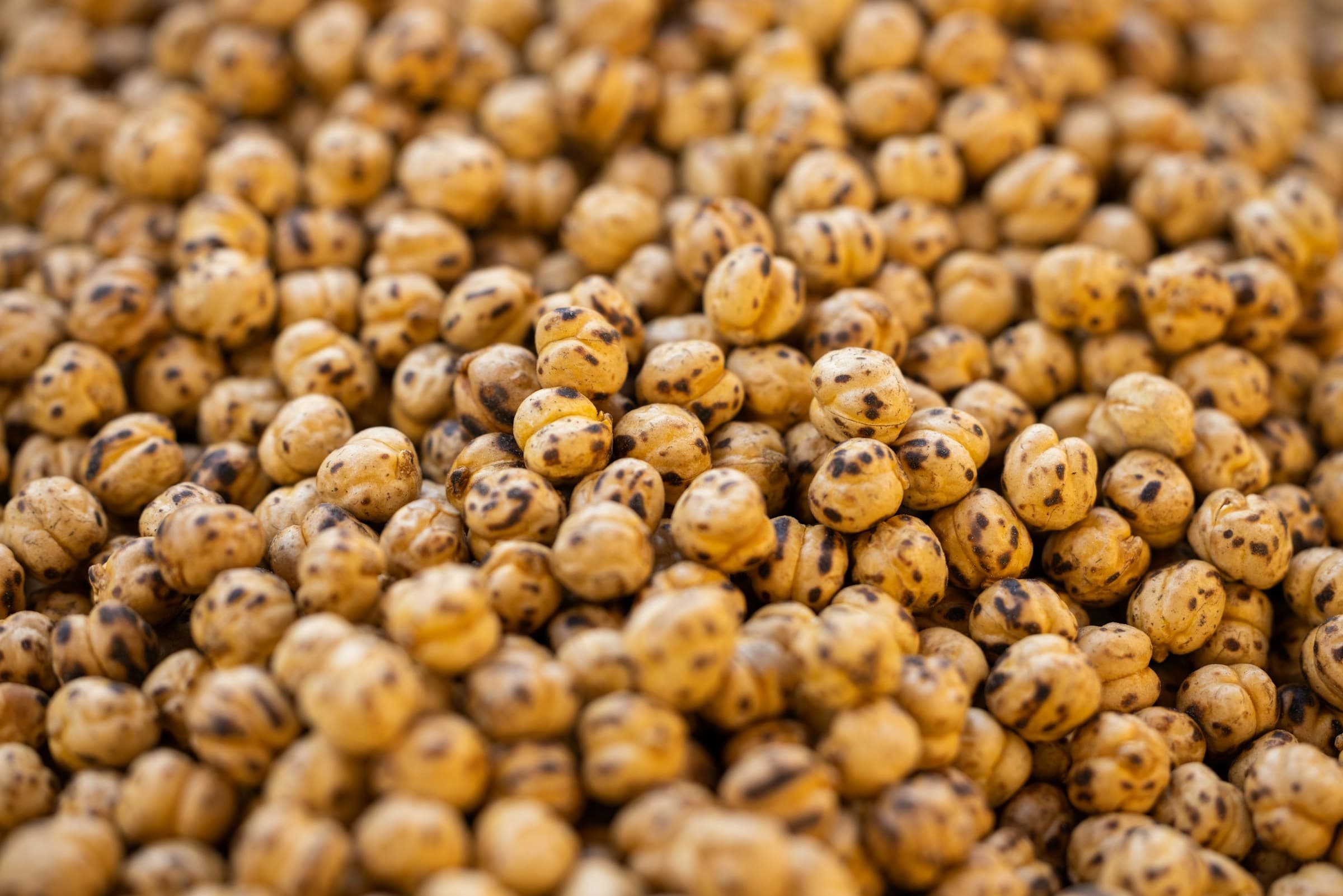 Roasted Makhana Exporter & Supplier