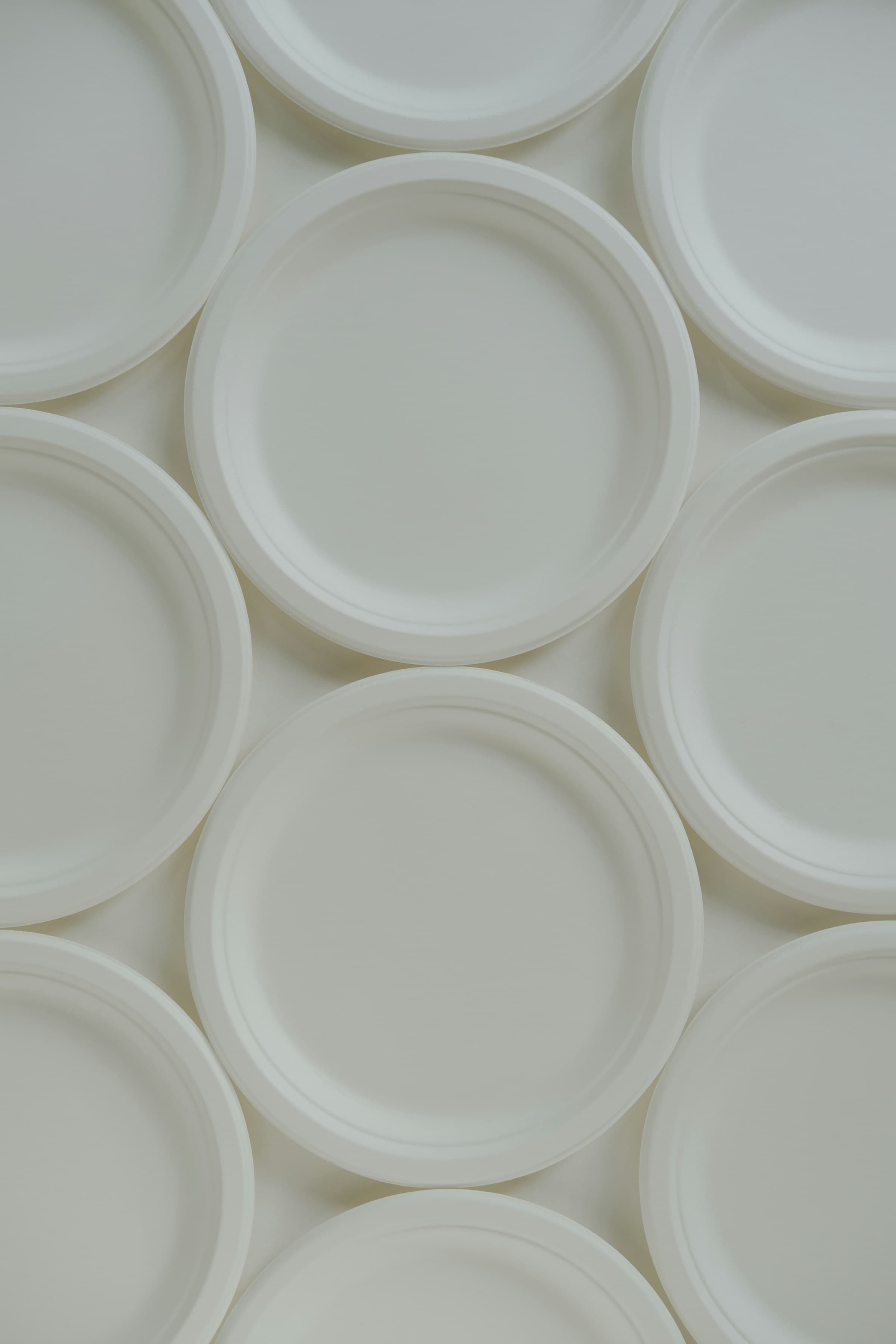 Eco-Friendly Bagasse Plates Exporter & Supplier