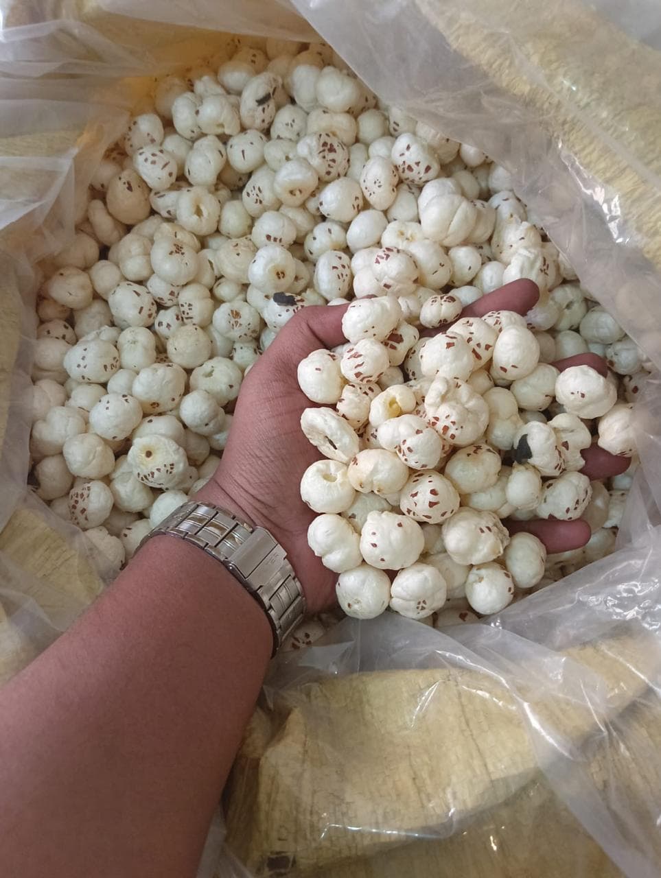 Makhana